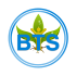 bts_logo_color_dark_background